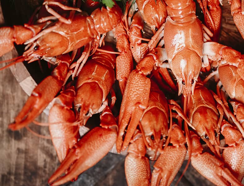 Why Caspian Crayfish Should Be in Your Diet