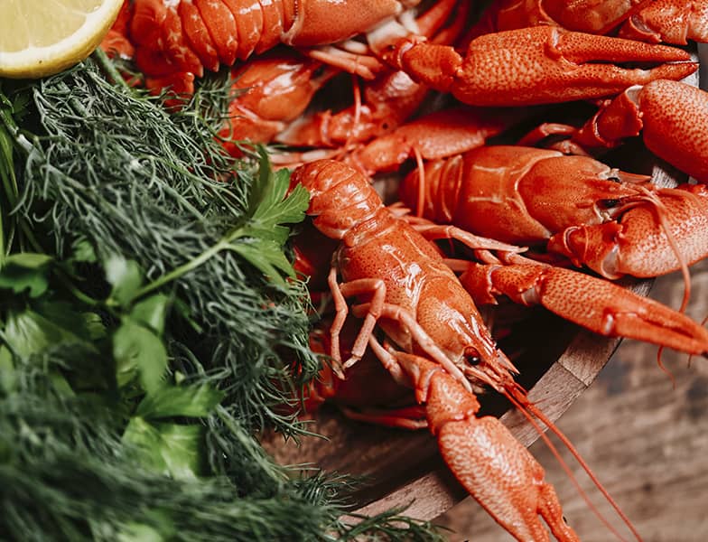 Caspian Crayfish: Step by Step from Nature to Your Table