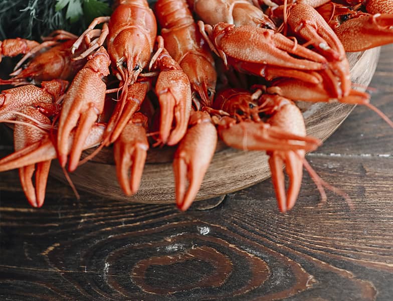 Truth or Myth: Do boiled-frozen crayfish fall short in quality compared to boiling live crayfish?